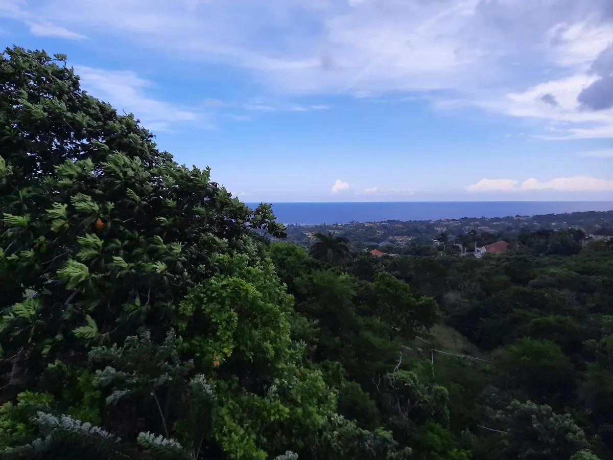 Burg Ann'S Villa Montego Bay Guest house