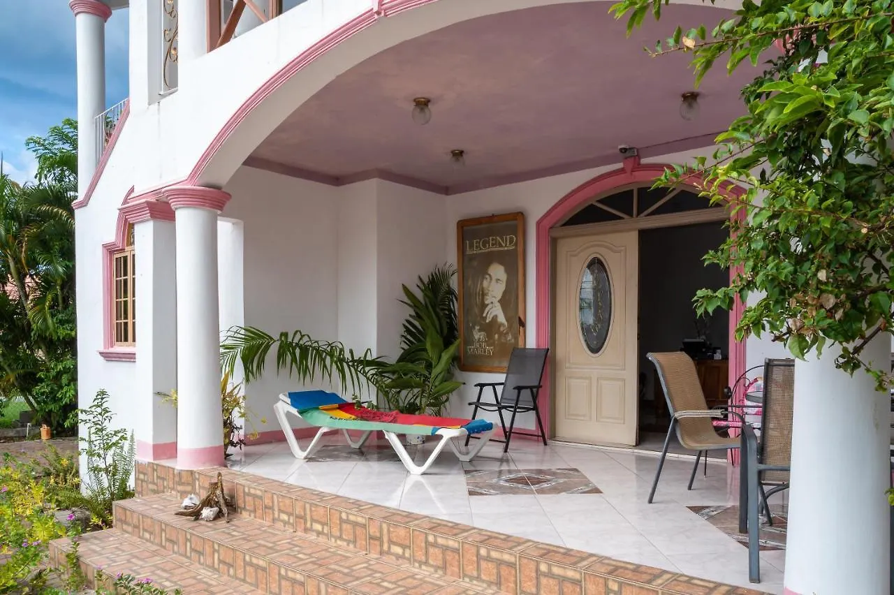 Burg Ann'S Villa Montego Bay