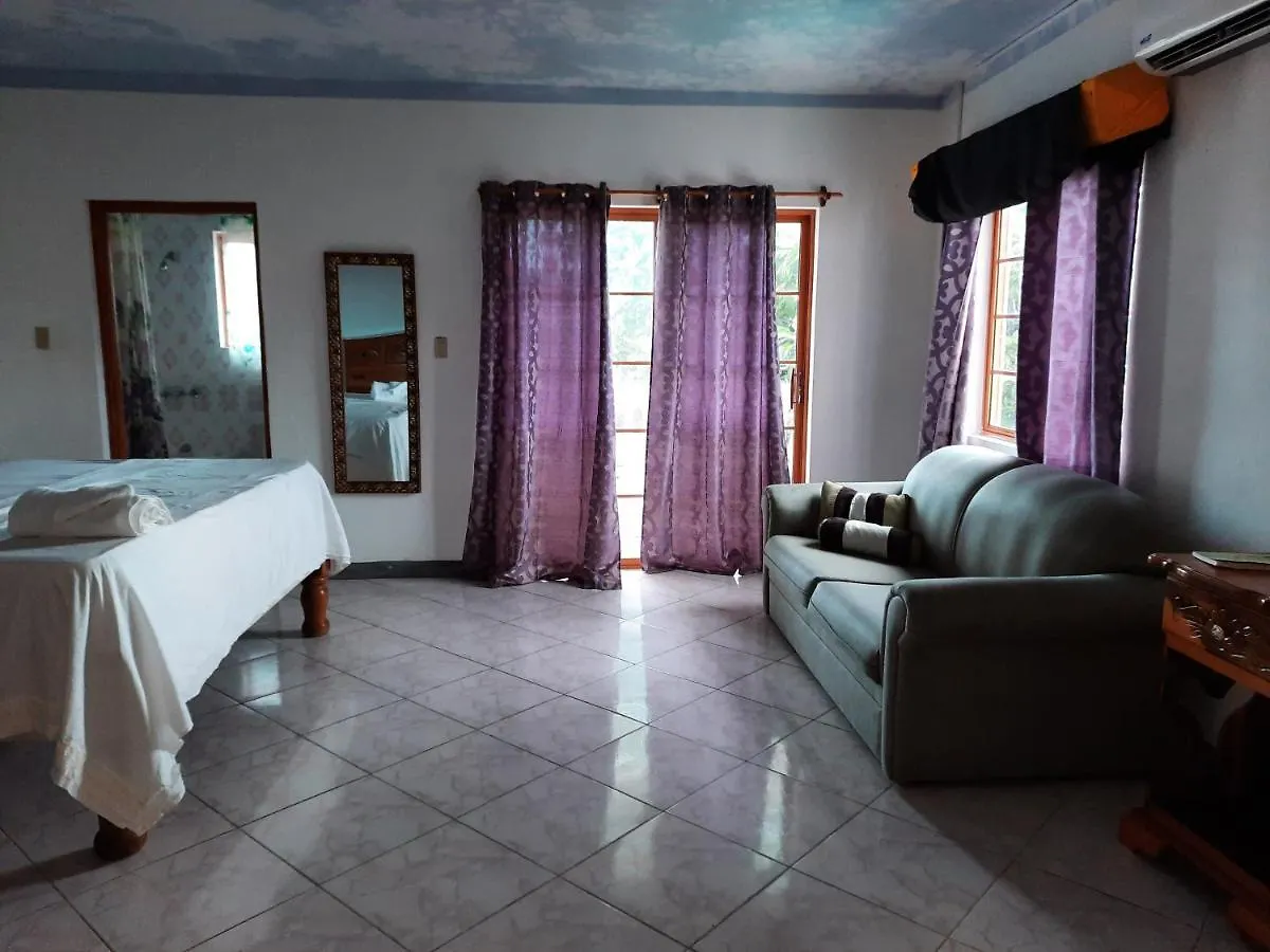 Guest house Burg Ann'S Villa Montego Bay