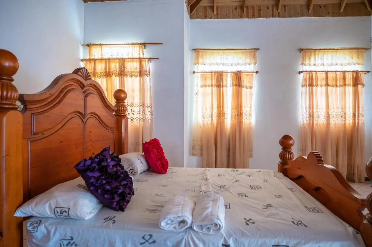 Burg Ann'S Villa Montego Bay Guest house
