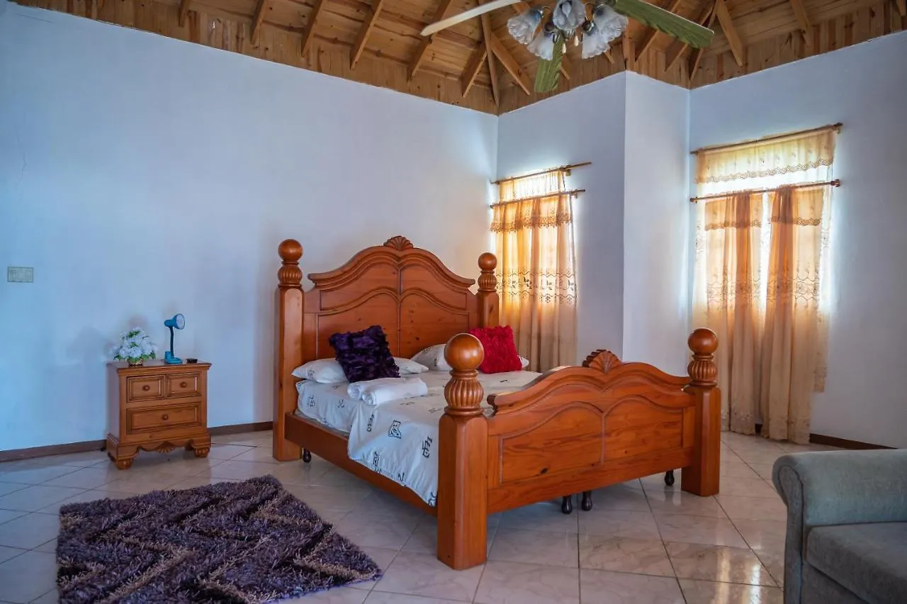 Burg Ann'S Villa Montego Bay 0*,