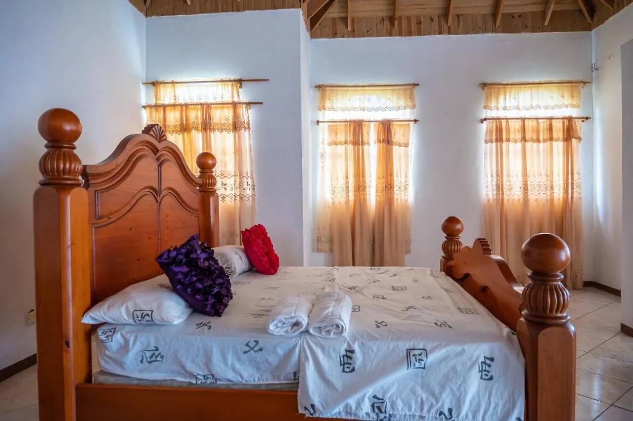 Burg Ann'S Villa Montego Bay Guest house