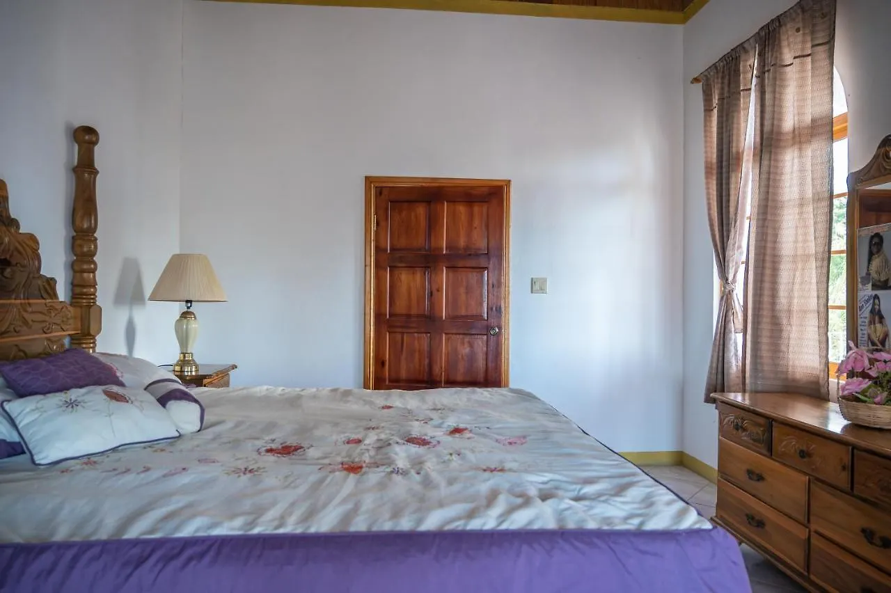 Burg Ann'S Villa Montego Bay Guest house