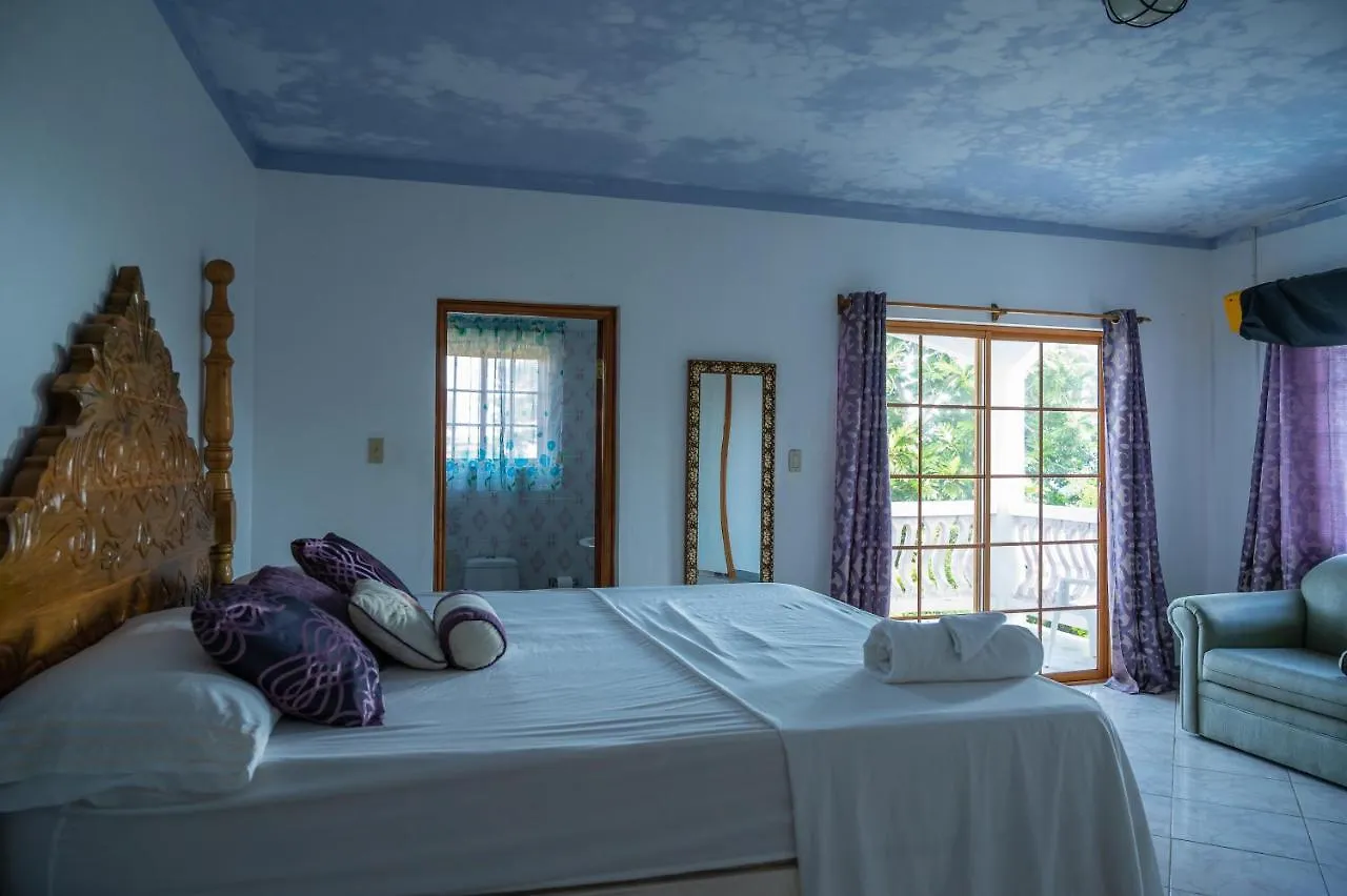 Burg Ann'S Villa Montego Bay 0*,