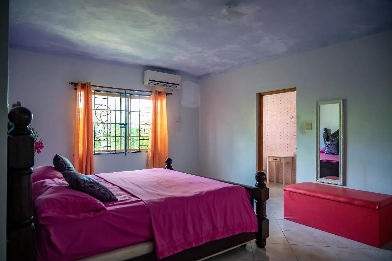 Burg Ann'S Villa Montego Bay