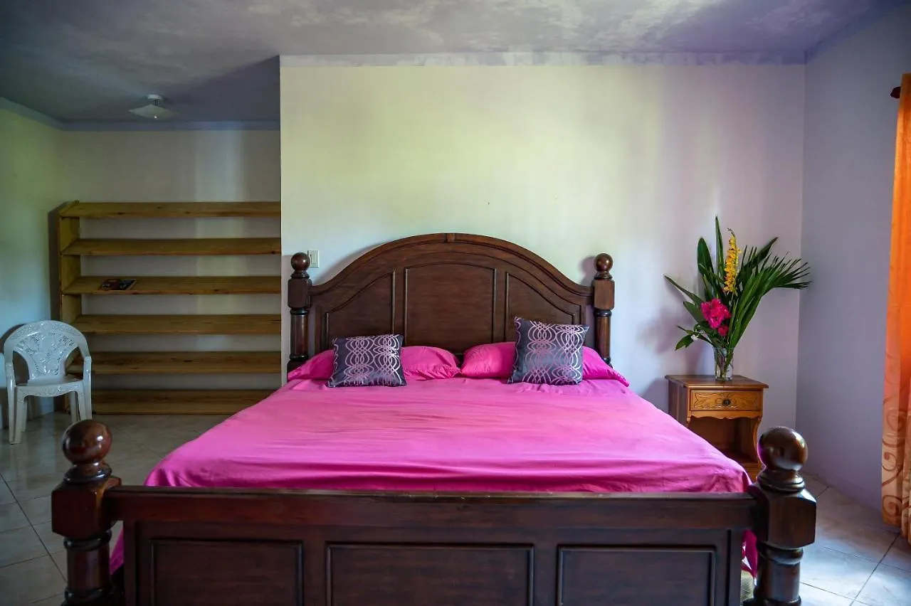 Burg Ann'S Villa Montego Bay Guest house