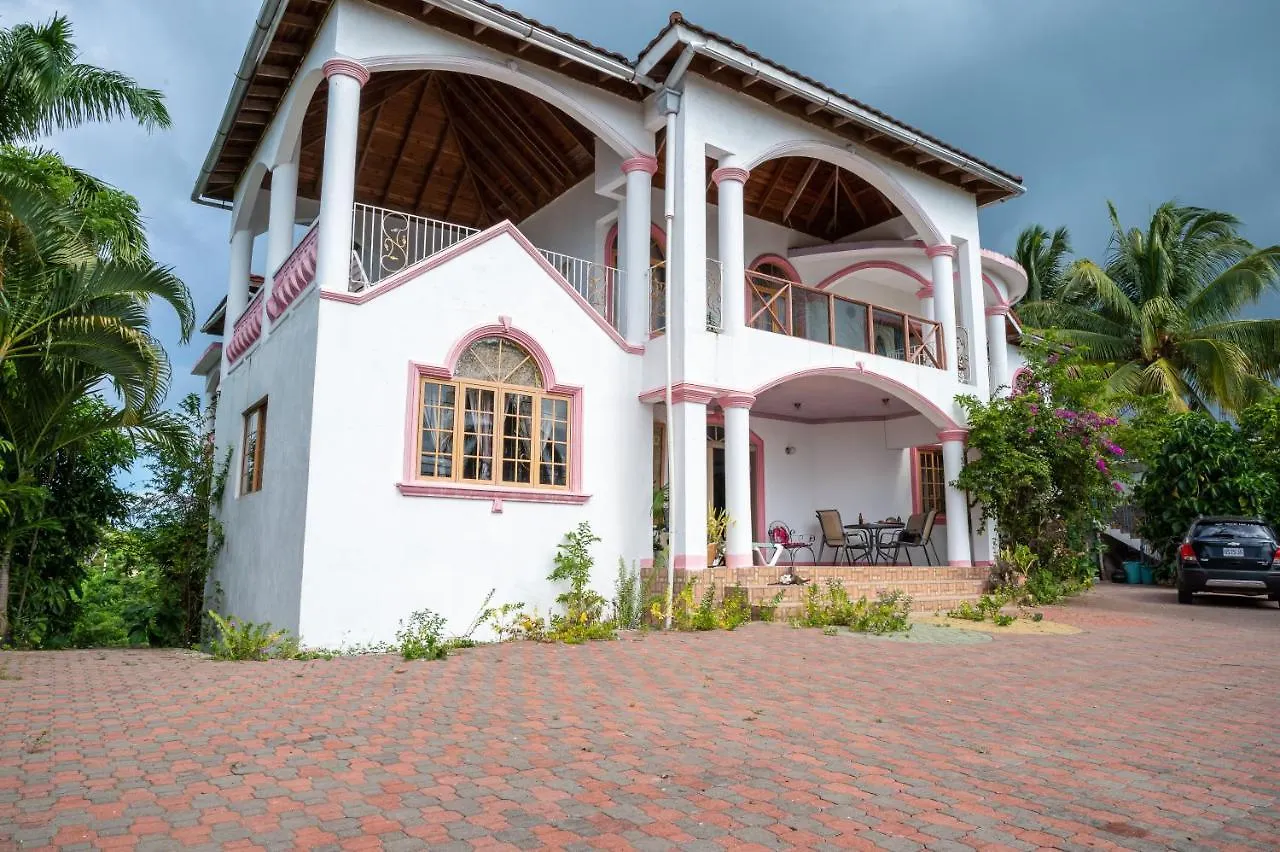 Burg Ann'S Villa Montego Bay Guest house