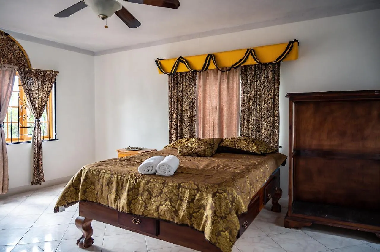 Burg Ann'S Villa Montego Bay