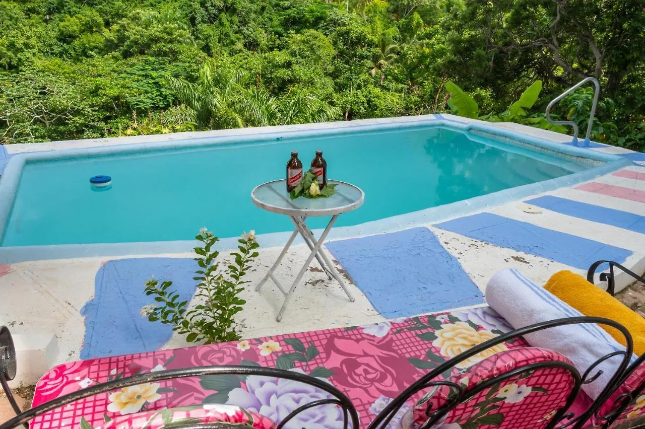 Burg Ann'S Villa Montego Bay