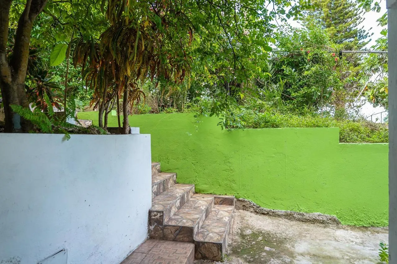 Burg Ann'S Villa Montego Bay Guest house
