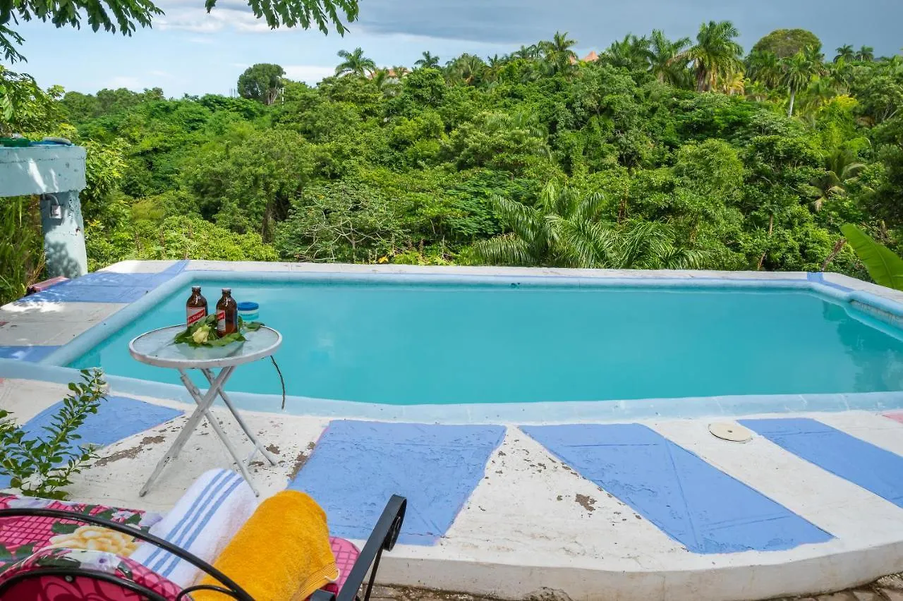 Burg Ann'S Villa Montego Bay Guest house